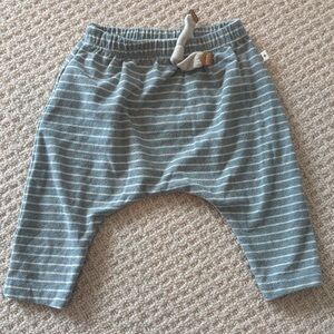 1+ in the Family Striped Teal Kids Joggers
